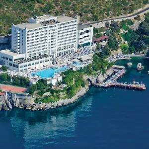 check availability